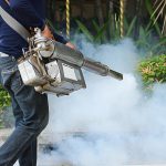 The Importance of Professional Pest Control Services